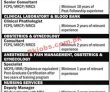 Jobs In Indus Hospital & Health Network