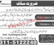 Jobs In Iman Group