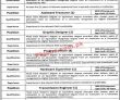 Jobs in Information Technology University ITU
