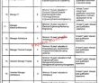 Jobs in Infrastructure Development Authority Punjab IDAP