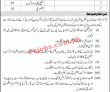 Jobs in Insaaf Organization AJ&K