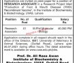 Jobs In Institute Of Biochemistry & Biotechnology Uvas Lahore