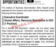 Jobs in Institute of Business Administration Karachi