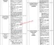 Jobs In Institute Of Public Health Lahore