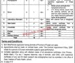 Jobs In Institute Of Public Health Lahore