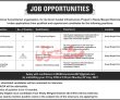 Jobs In International Humanitarian Organization