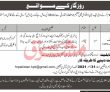 Jobs In International Organization