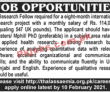 Jobs in International Research Project