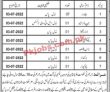 Jobs In Irrigation Department Quetta Balochistan