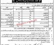 Jobs In Irrigation Sector Narowal
