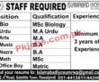 Jobs In Islamabad Lyceum