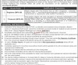 Jobs in Islamia College Peshawar