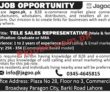 Jobs In Jagoo Company