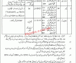 Jobs In Jail Khana Jat Faisalabad