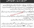 Jobs In Jang Group