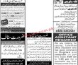 Jobs In Jang Jobs 01 November