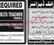 Jobs in Jang Jobs 14 March