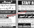 Jobs in Jang Jobs 31 January