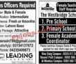 Jobs In Jang Newspaper Jobs 03 September