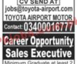 Jobs in Jang Newspaper Jobs 04 April