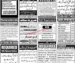 Jobs In Jang Newspaper Jobs 13 September