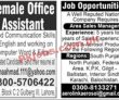 Jobs In Jang Newspaper Jobs 17 October