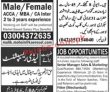 Jobs In Jang Newspaper Jobs 19 July