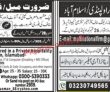 Jobs In Jang Newspaper Jobs 26 September