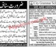 Jobs In Jang Newspaper Jobs 28 November