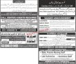 Jobs In Jang Newspaper Rawalpindi Jobs 01 August