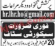 Jobs In Jang Newspaper Paperpk