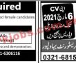Jobs in Jang Newspaper