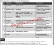 Jobs in Jinnah Elite School