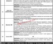 Jobs in Jinnah Sindh Medical University Karachi