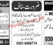 Jobs In Jobs 28 June 2022