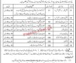 Jobs in Joint Testing Services Pakistan