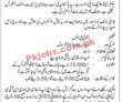 Jobs In Jubilee Life Insurance Company