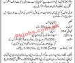Jobs In Jubilee Life Insurance