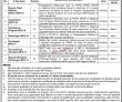 Jobs In Karachi Port Trust
