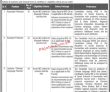 Jobs In Karakoram International University Gilgit Baltistan