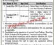 Jobs in Karnal Sher Khan Cadet College Swabi