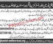 Jobs In Kawish Welfare