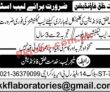 Jobs In Khidmat E Khalq Foundation