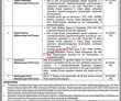 Jobs In Khushal Khan Khattak University Karak