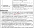 Jobs In Khyber College Of Dentistry Peshawar