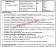 Jobs In Khyber Pakhtunkhwa Child Protection & Welfare Commission