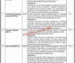 Jobs In Khyber Pakhtunkhwa Commission On The Status Of Women