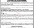 Jobs In Khyber Pakhtunkhwa Health Foundation Kpk