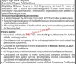 Jobs in Khyber Pakhtunkhwa Information Technology Board KPITB