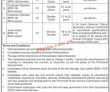 Jobs In Khyber Pakhtunkhwa Public Service Commission Kppsc